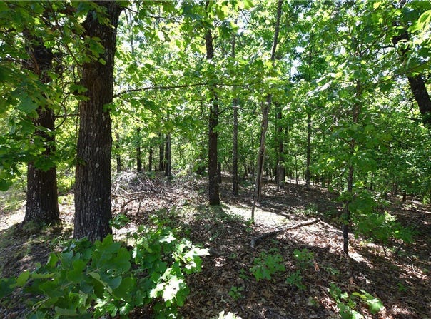 6387 Sacred Fire Ridge Road lot: 138, Proctor, OK 74457