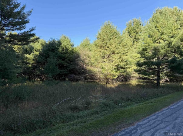 W Pine Ridge Road, Manistique, MI 49854