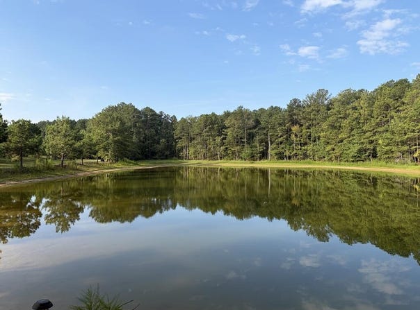 Oak Grove Road, Pine Mountain, GA 31822