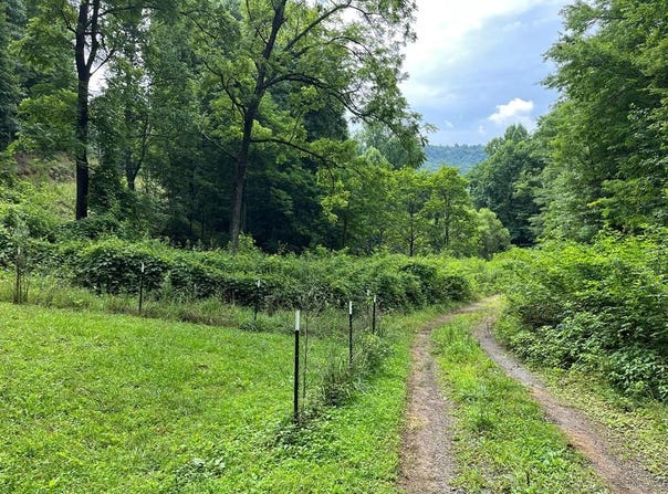 Bates Creek Road, Murphy, NC 28906