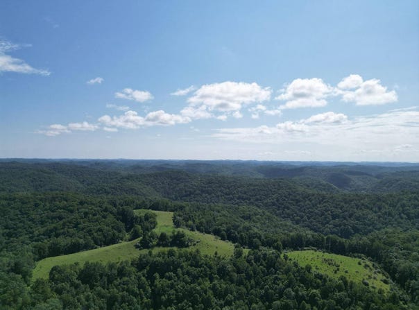 8829 Clay Road, Left Hand, WV 25251