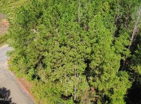 5464b Pecan Orchard Road, Liberty, MS 39645