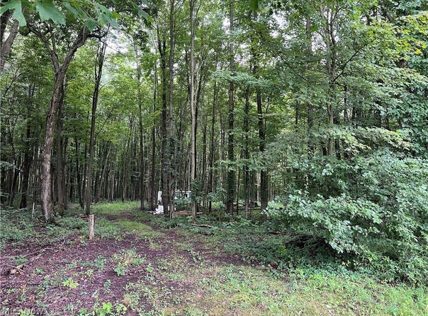 6124 Root Road, Conneaut, OH 44030