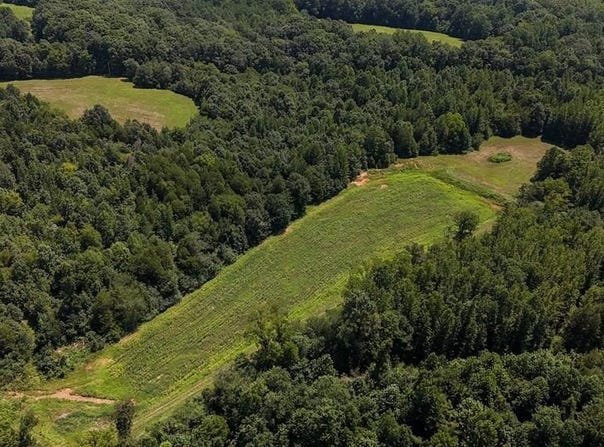 Hwy 69S, PARIS, TN 38344