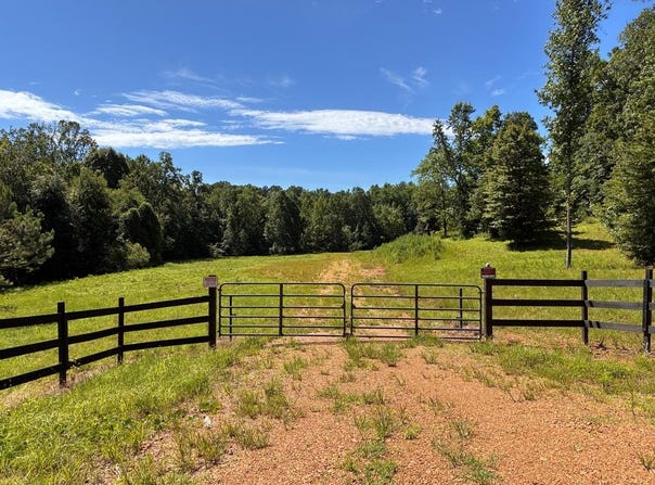 292 Bull Durham Rd., SPRINGVILLE, TN 38256