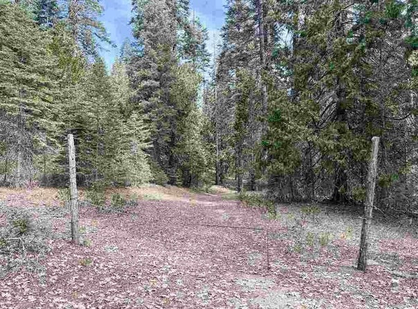 Ut 3 Bk I Lt 8 Mt. Shasta Dr., McCloud, CA 96057