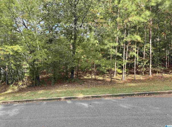 WHITE OAK CIRCLE lot: 9, DORA, AL 35062