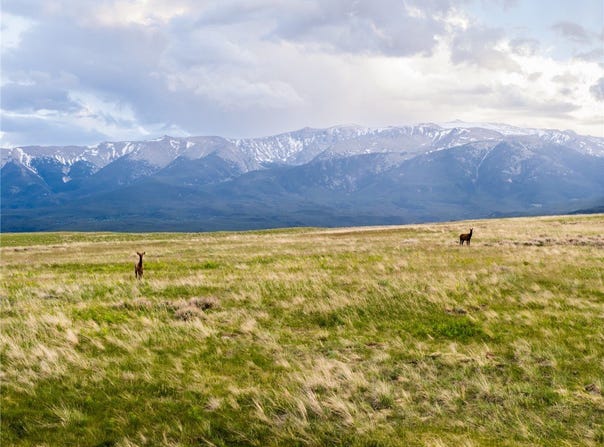 Nye Road, Nye, MT 59061