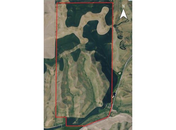 NKA Filan Rd., Colfax, WA 99111