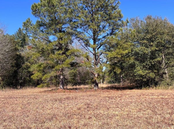 Veterans Road, Salley, SC 29137