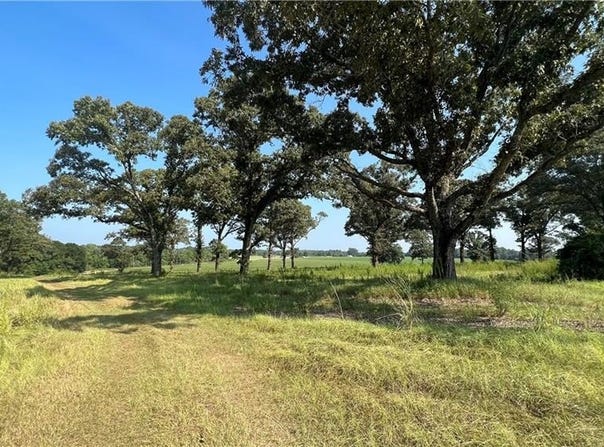 Lott Road, Chunchula, AL 36521