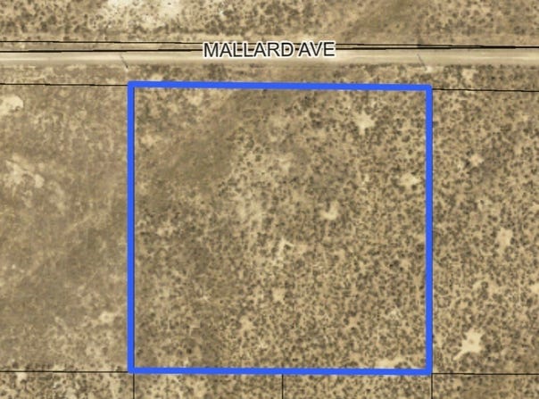 Mallard Avenue, Elko, NV 89801