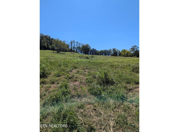 Richland Road, Mascot, TN 37806