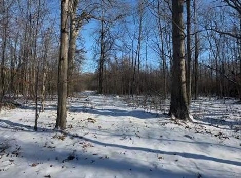 7021 Palms Road, Ira Twp, MI 48023