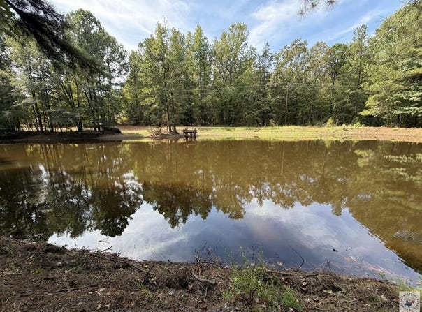 8076 S FM 251, Bivins, TX 75555