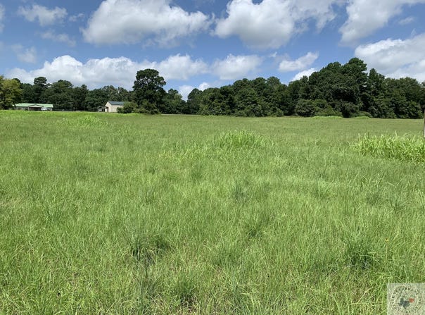 FM 785, Atlanta, TX 75551
