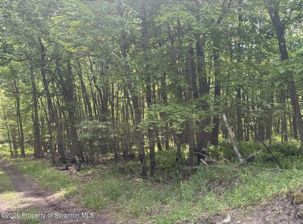 60 Laurel Street, Carbondale Twp, PA 18407