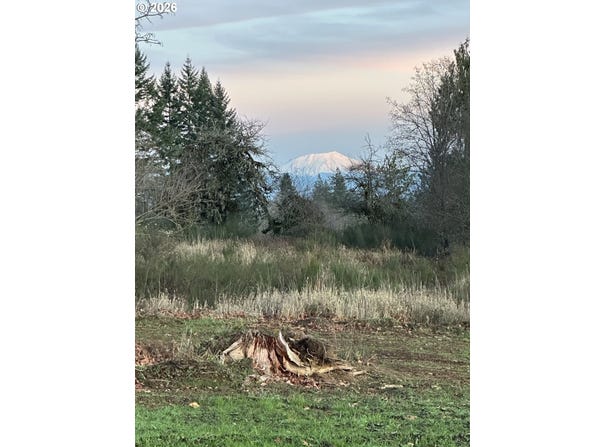 239 Suncrest Dr, CastleRock, WA 98611