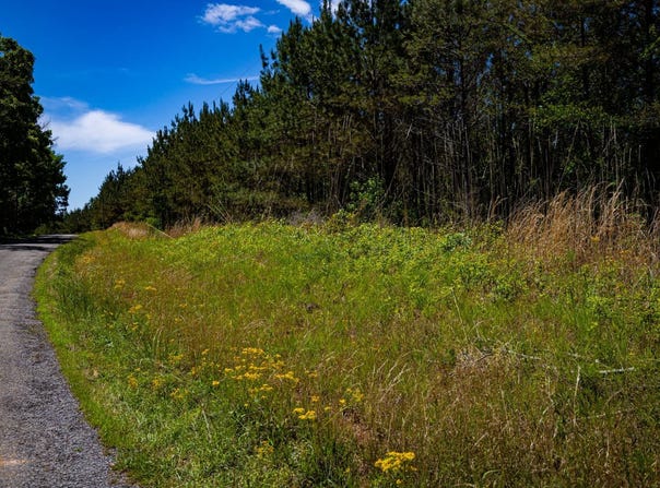 Burntfields Rd, Fulton, MS 38843