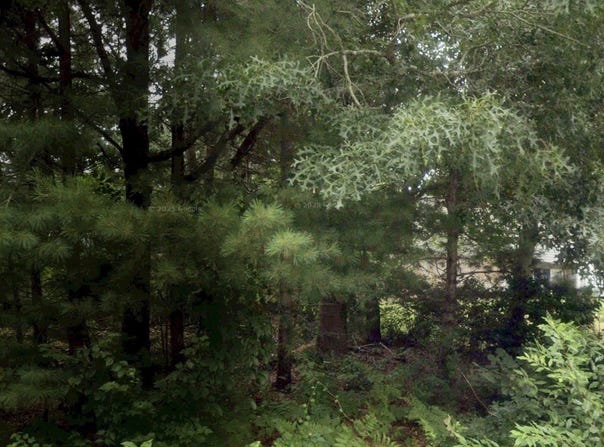 59 Park, Wareham, MA 02538