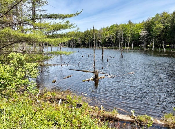 Maples Road, Milford, NY 13348
