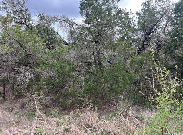 800 Fox, San Marcos, TX 78666
