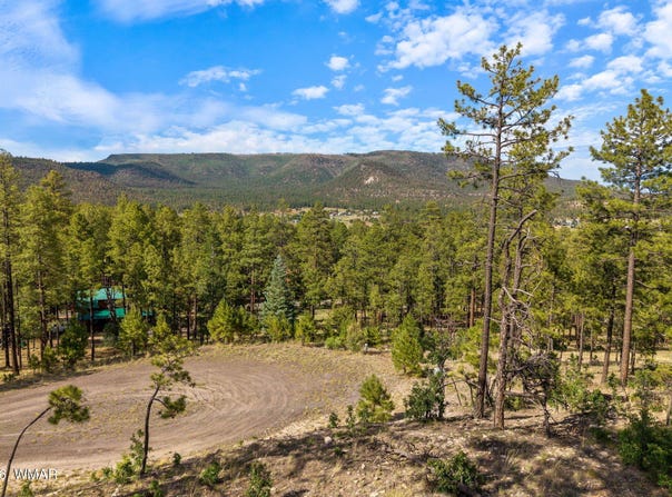 CR 2193, Alpine, AZ 85920