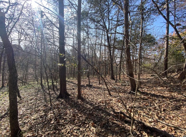 Seagull Lane, Cape Fair, MO 65624