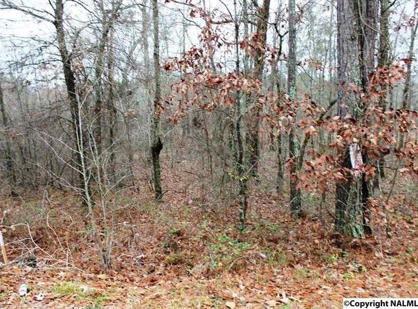 Quail Drive lot: 5, Centre, AL 35960