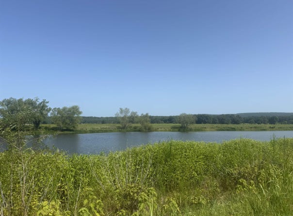River Drift lot: 13, Heber Springs, AR 72543