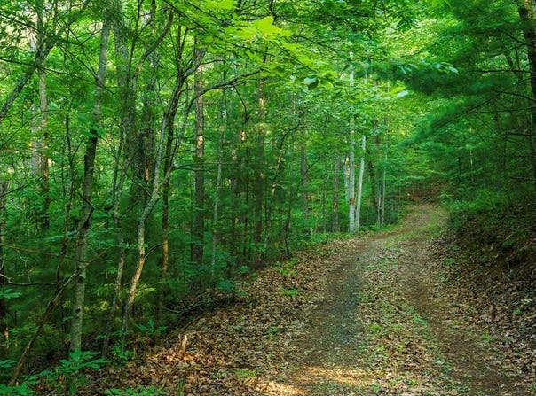 Gloryland Way, Murphy, NC 28906