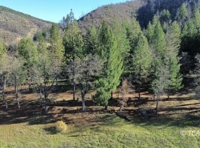 240 Oak Ranch Rd, Lewiston, CA 96052
