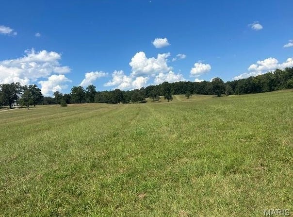 Monday Lane, Williamsville, MO 63967