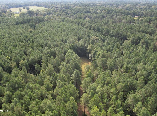 Bethel Road, Liberty, MS 39645