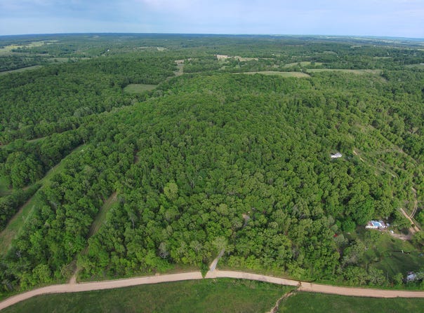 County Road 544, Bakersfield, MO 65609