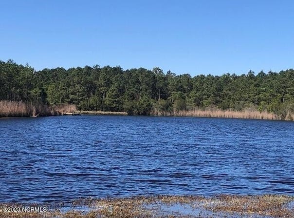 123 E Dowry Creek E lot: 85, Belhaven, NC 27810