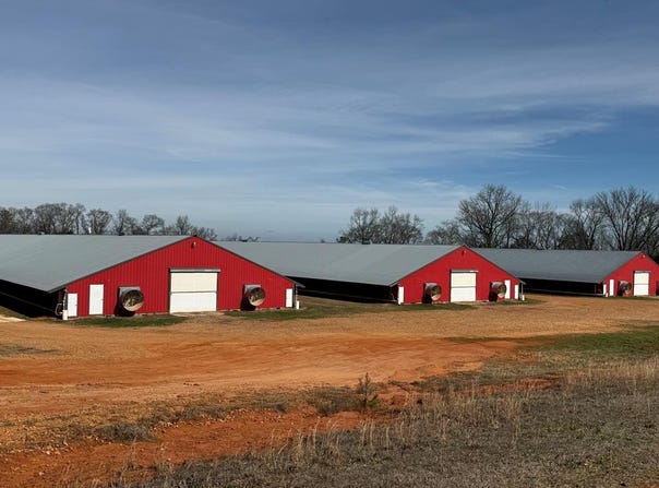 219 County Road 6628, BANKS, AL 36005