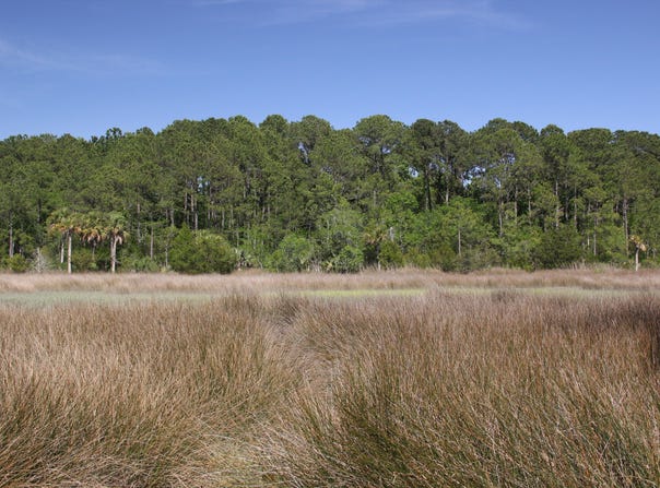 1789 Sc-41, Mount Pleasant, SC 29466