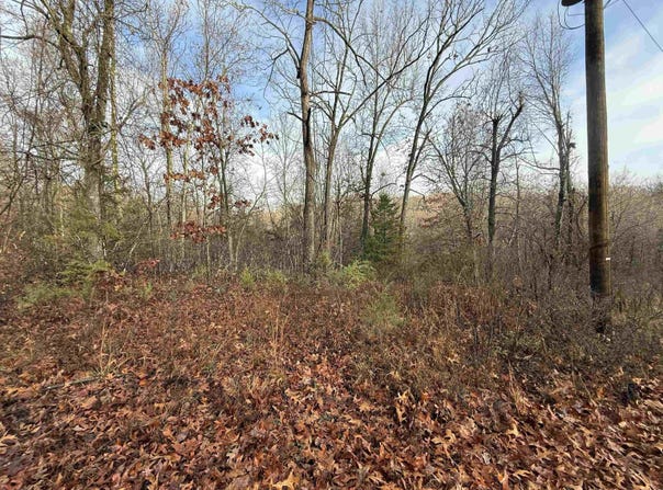 Dogwood Drive, Omaha, AR 72662