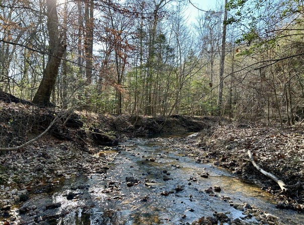 Ararat Rd Tract B, Toxey, AL 36921