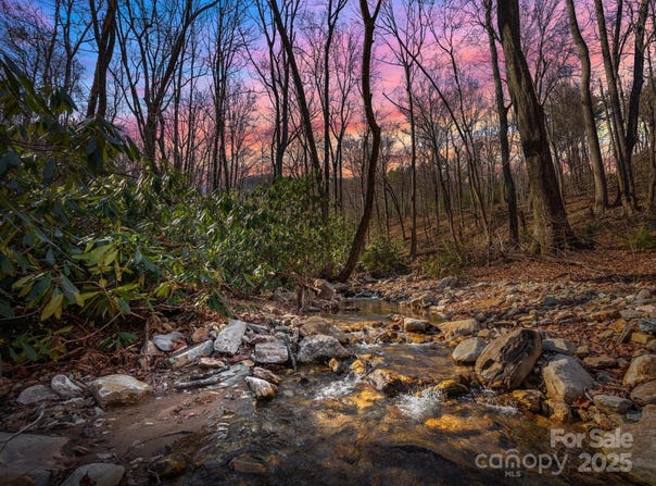 Stafford Lane S, Mill Spring, NC 28756