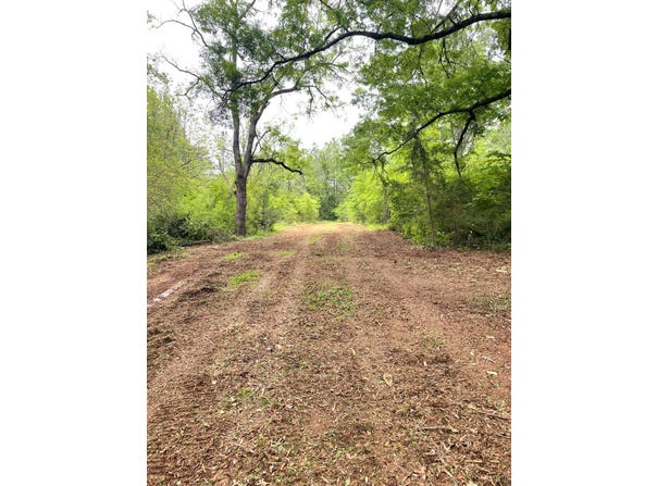 0-Lot 2D Three Creeks Road, Gladys, VA 24554