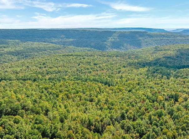 Palmer Firetower Road, Whitwell, TN 37397