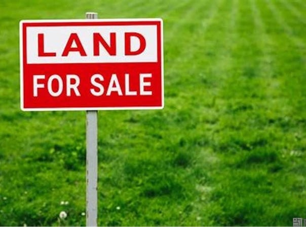 18487 SETTLEMENT TRACE lot: 6, Livingston, LA 70754