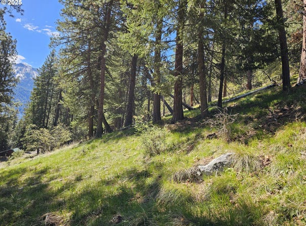 Lake Shore Rd, Joseph, OR 97846