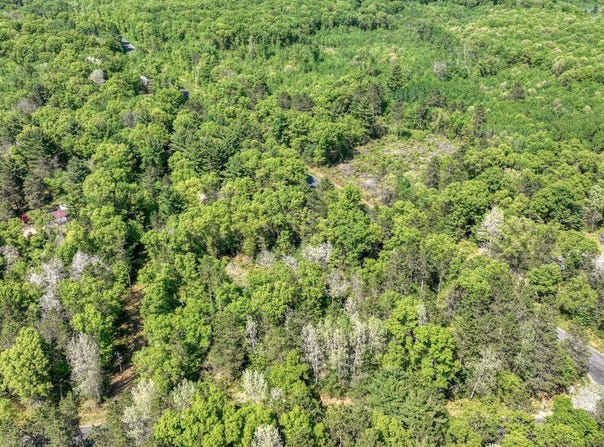 Armstrong Lane, Arcadia, WI 54612
