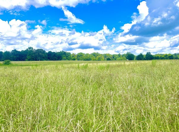 0001 Glaze Ferry Road, Vincent, AL 35078