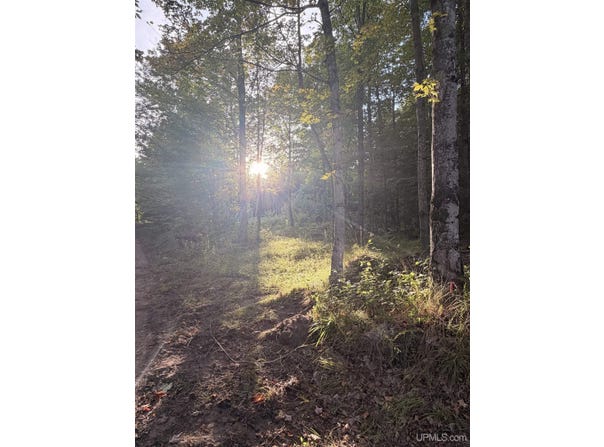 TBD Harborview Lot 21 Drive, Munising, MI 49862