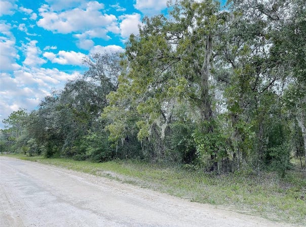 14250 SE 2ND Street, WILLISTON, FL 32696
