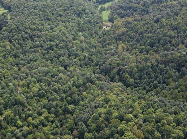 Wolfpen Run Road, Cox Mills, WV 26187
